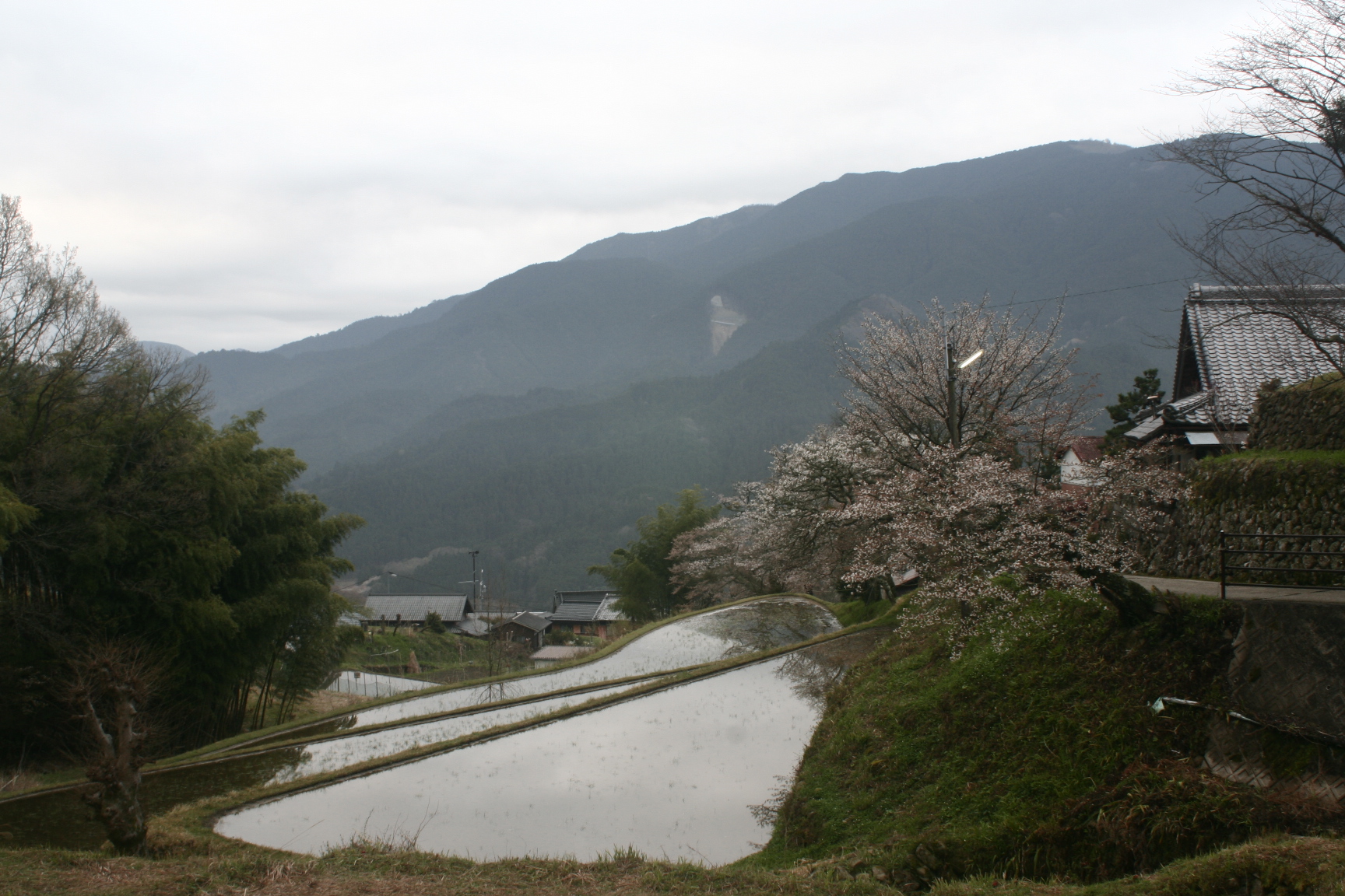 B-pro撮影会、2015-1